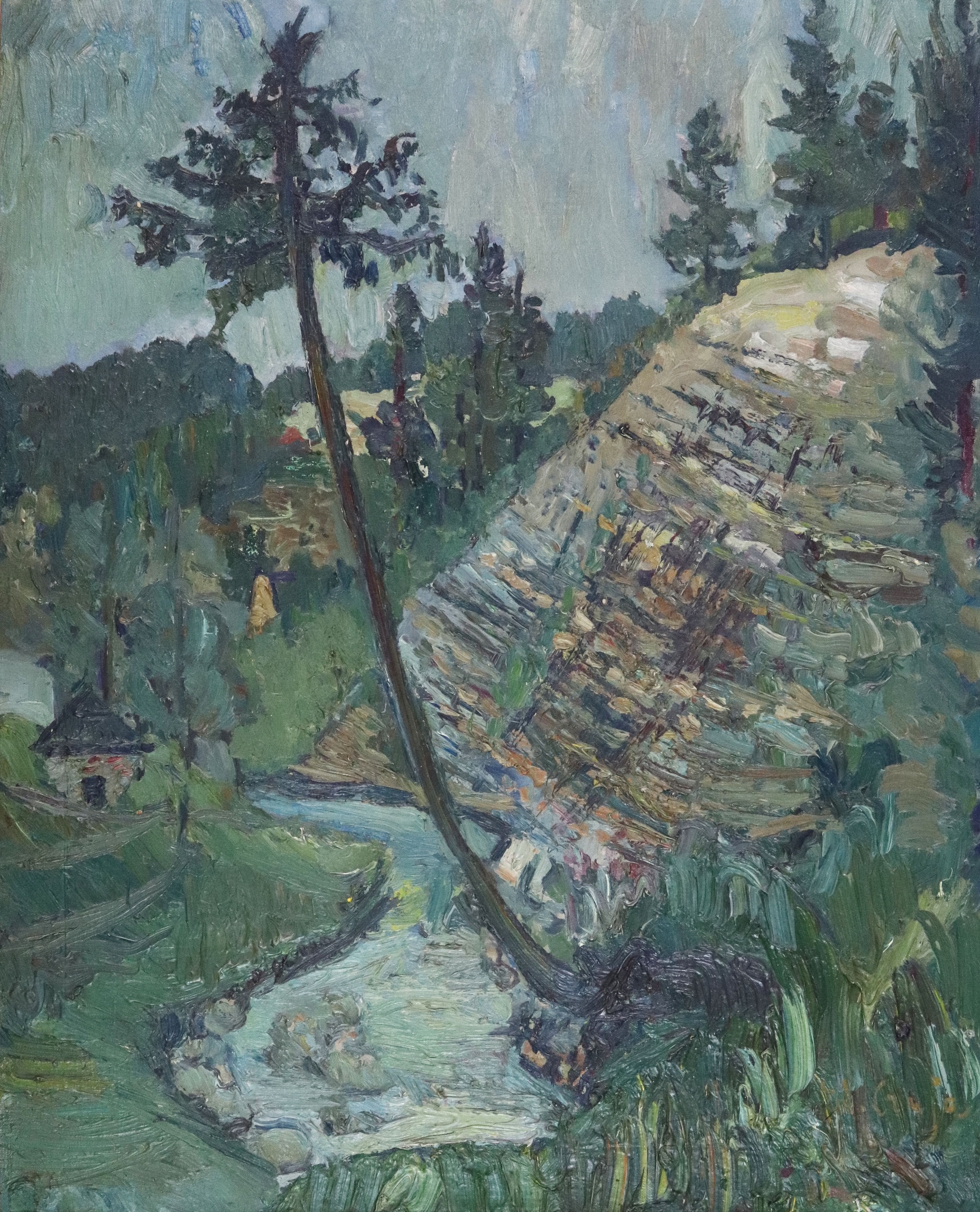 Zawoja Wąwóz | Zawoja Ravine